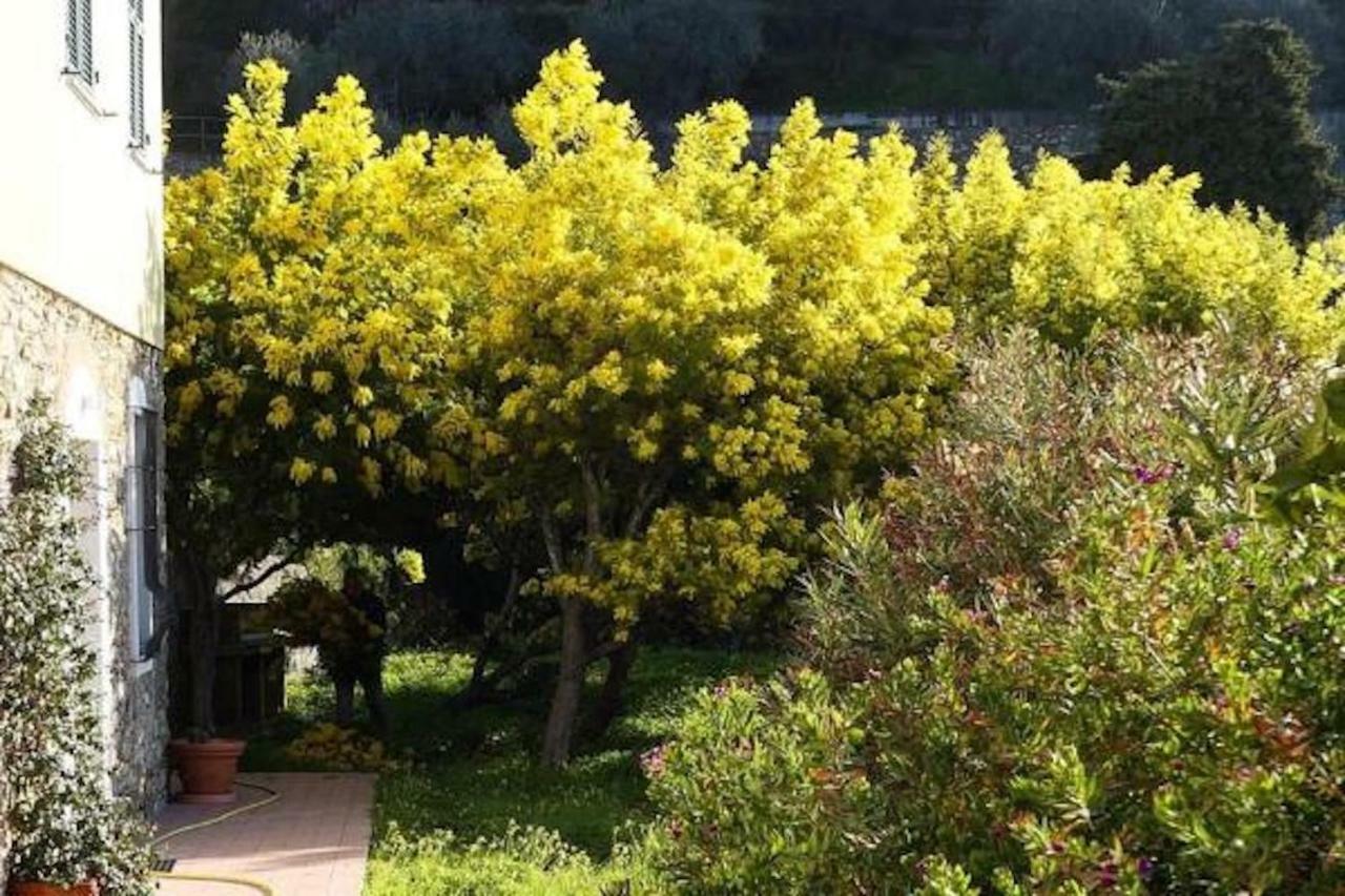 Agriturismo San Michele Di Danio Giovanni Dolcedo Zewnętrze zdjęcie